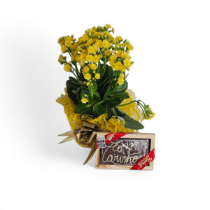 Kit de chocolate com vasinho de calandiva