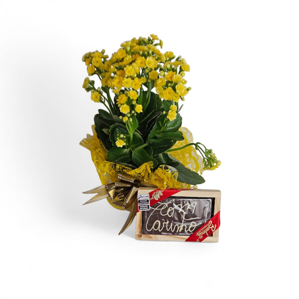Kit de chocolate com vasinho de calandiva