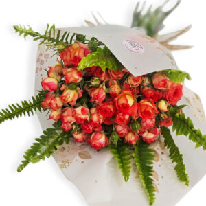 Mine rosas