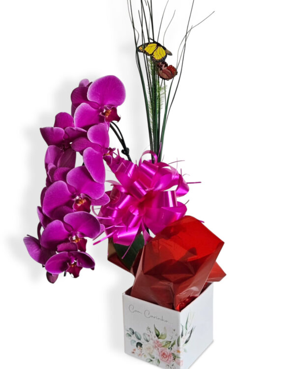 Orquídea