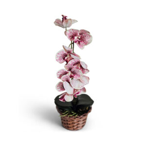 Orquídea artificial