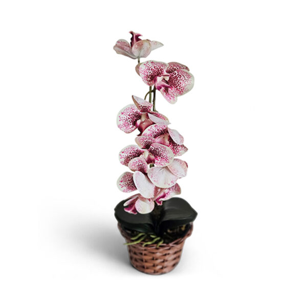 Orquídea artificial