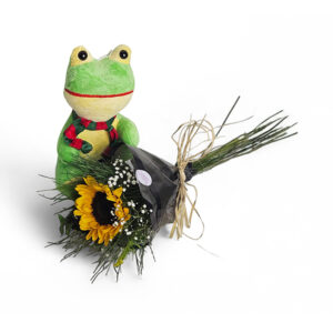 Sapo e margarida